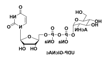 91183-98-1,UDP-N-acetylglucosamine,5′-二磷酸尿嘧啶核苷-N-乙酰半乳糖胺二钠盐 91183-98-1,UDP-N-acetylglucosamine,5′-二磷酸尿嘧啶核苷-N-乙酰半乳糖胺二钠盐