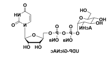 5′-二磷酸尿嘧啶核苷，UDP-ALPHA-D-N-ACETYLGLUCOSAMINE,DISODIUMSALT