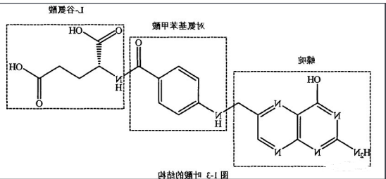 香菇多糖-叶酸
