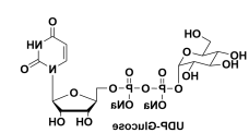 udp-葡萄糖，UDP-Glucose，UDP-Glc，cas117756-22-6, 28053-08-9 