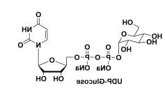 尿苷-5'-二磷酸葡萄糖二钠盐，UDP-α-D-Glucose, Disodium Salt，UDPG