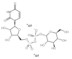 UDP-葡萄糖；尿嘧啶二磷酸葡萄糖；UDP-GLC, NA2；UDP-GLUCOSE DISODIUM SALT