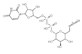 双磷酸尿苷-6-叠氮-6-脱氧-D-葡糖酯,CAS:537039-67-1，UDP-6-N3-Glucose
