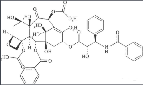 香菇多糖-聚乙二醇-紫杉醇