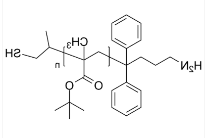 NH2-PtBuMA-SH