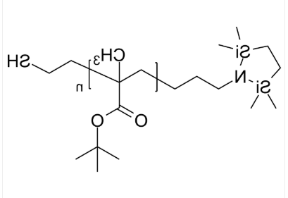 SiN-PtBuMA-SH