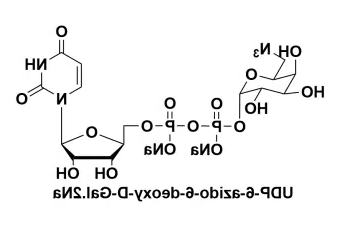 UDP-6-叠氮-6-脱氧-D-半乳糖二钠盐，UDP-6-azido-6-deoxy-D-Galactose disodium salt