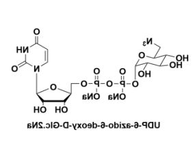 UDP-6-N3-GlcNAc，UDP-N-叠氮修饰乙酰基葡萄糖胺，叠氮修饰尿苷二磷酸-N-乙酰基葡萄糖胺