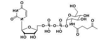 UDP-2-carbonyl-GlcNAc，羧基修饰尿苷二磷酸，羧基标记核苷酸糖