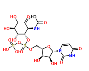 UDP-GALNAC，叠氮修饰N-乙酰半乳糖胺，7277-98-7