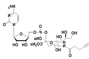 5'-单磷酸胞苷修饰叠氮糖，CMP-C9-Azido-Sialic Acid