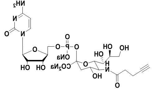 炔基修饰的CMP-唾液酸，CMP-C5-alkynyl-Sialic Acid 