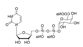 尿苷二磷酸修饰半乳糖醛酸三钠盐，UDP-a-D-galacturonidetrisodiemsalt