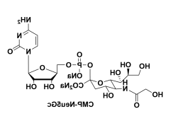 cas1955-26-6，UDP-L-Rhamnose，UDP鼠李糖