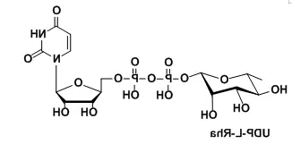 尿苷二磷酸修饰鼠李糖，Uridine diphosphate rhamnose，Uridine5'-(trihydrogendiphosphate),P'-(6-deoxy-β-L-mannopyranosyl)ester