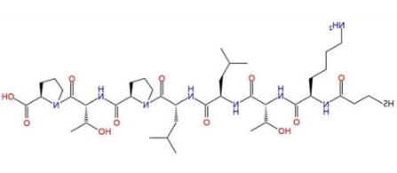 PTP-SH (KTLLPTP)