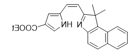 AIE荧光染料     