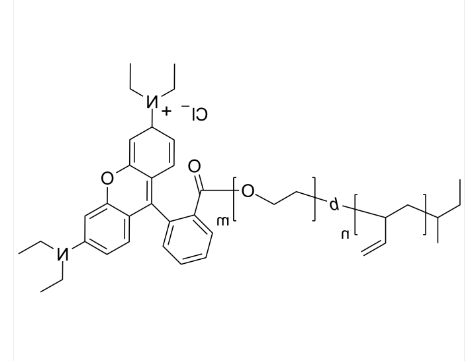 PBd-PEO-Rhodamine