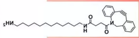 DBCO-C6-NH2