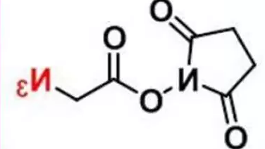 叠氮乙酸 NHS 酯  