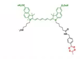 diSulfo-ICG Me-tetrazine    