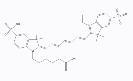 二氢卟吩-七甲川染料CY7