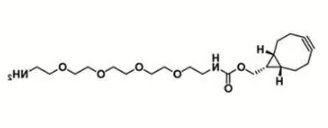 endo BCN-PEG4-NH2  