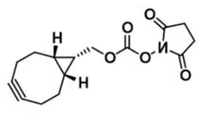 endo-BCN-NHS ester  