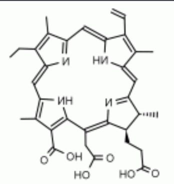 Ce6-MTX 二氢卟吩-甲氨蝶呤 