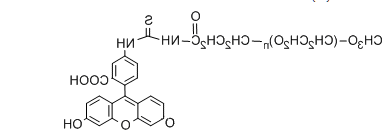 mPEG-Fluorescein