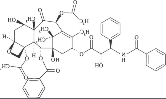 多巴胺修饰紫杉醇