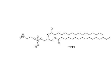 DPPE-PEG-PTX