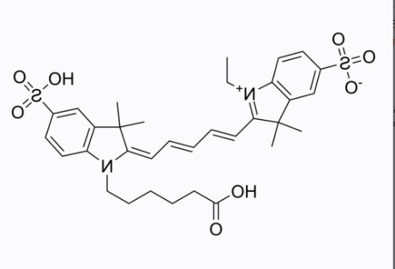 菁染料CY5标记阿霉素 菁染料CY5标记阿霉素
