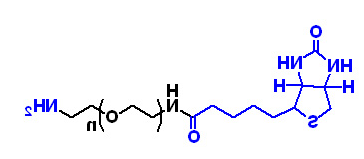 Biotin-PEG-Amine
