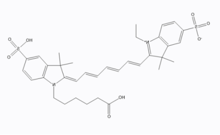 CDDP-Cyanine7