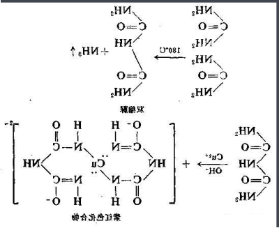 顺铂-卵清蛋白 