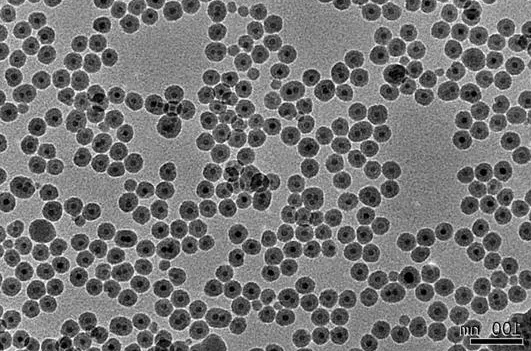 油溶性上转换纳米颗粒 Oil dispersible upconverting nanoparticles 油溶性上转换纳米颗粒 Oil dispersible upconverting nanoparticles