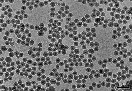 油酸修饰的四氧化三铁磁性纳米颗粒（高温热解法） Ferromagnetic nanoparticles