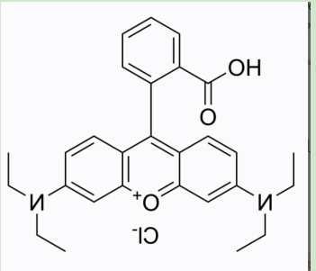 环丙沙星-聚乙二醇-罗丹明B