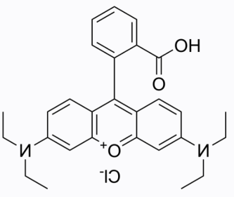 甲硝唑-聚乙二醇-罗丹明B 