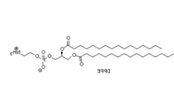 DPPE-PEG-Metronidazole