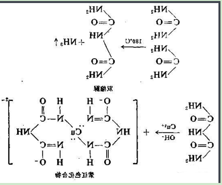 甲硝唑-聚乙二醇-卵清蛋白 甲硝唑-聚乙二醇-卵清蛋白