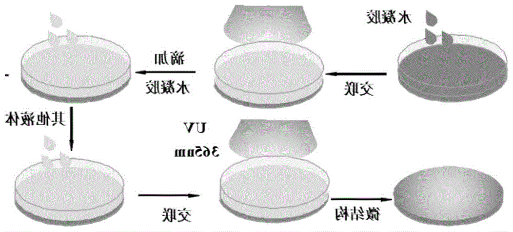 甘草次酸聚乙二醇脑部靶向分子，甘草次酸-peg-Angiopep，GA-peg-Angiopep