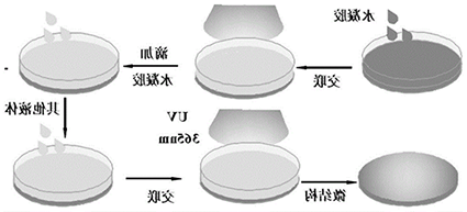 甘草次酸聚乙二醇靶向多肽CTT2，甘草次酸-peg-CTT2，GA-peg-CTT2