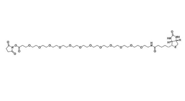 Biotin-PEG12-NHS ester，生物素-聚乙二醇-活化酯，365441-71-0