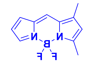 Bodipy499/510荧光染料,cas154793-49-4,1,3-二甲基-BODIPY Bodipy499/510荧光染料,cas154793-49-4,1,3-二甲基-BODIPY