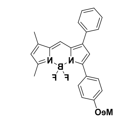 Bodipy545/565