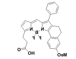 Bodipy-560/585