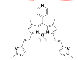 Bodipy-665/690 氟硼二吡咯(BODIPY)类荧光染料 BDP-665/690
