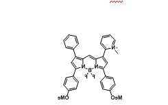 Bodipy650/686 cas 2379639-15-1 氟硼二吡咯(BODIPY)类荧光染料